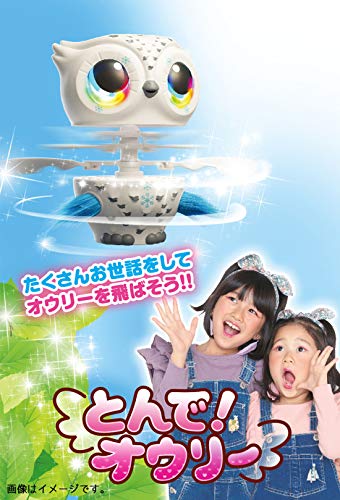 とんで！オウリー 4