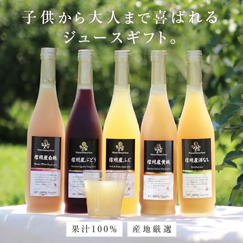 信州産100％果物ジュース500mL 2本セット 8