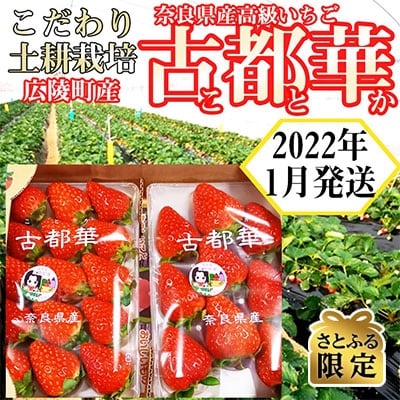 2022年】いちごのふるさと納税返礼品のおすすめ人気ランキング10選 | mybest 2022年】いちごのふるさと納税返礼品のおすすめ人気ランキング10選 | mybest
