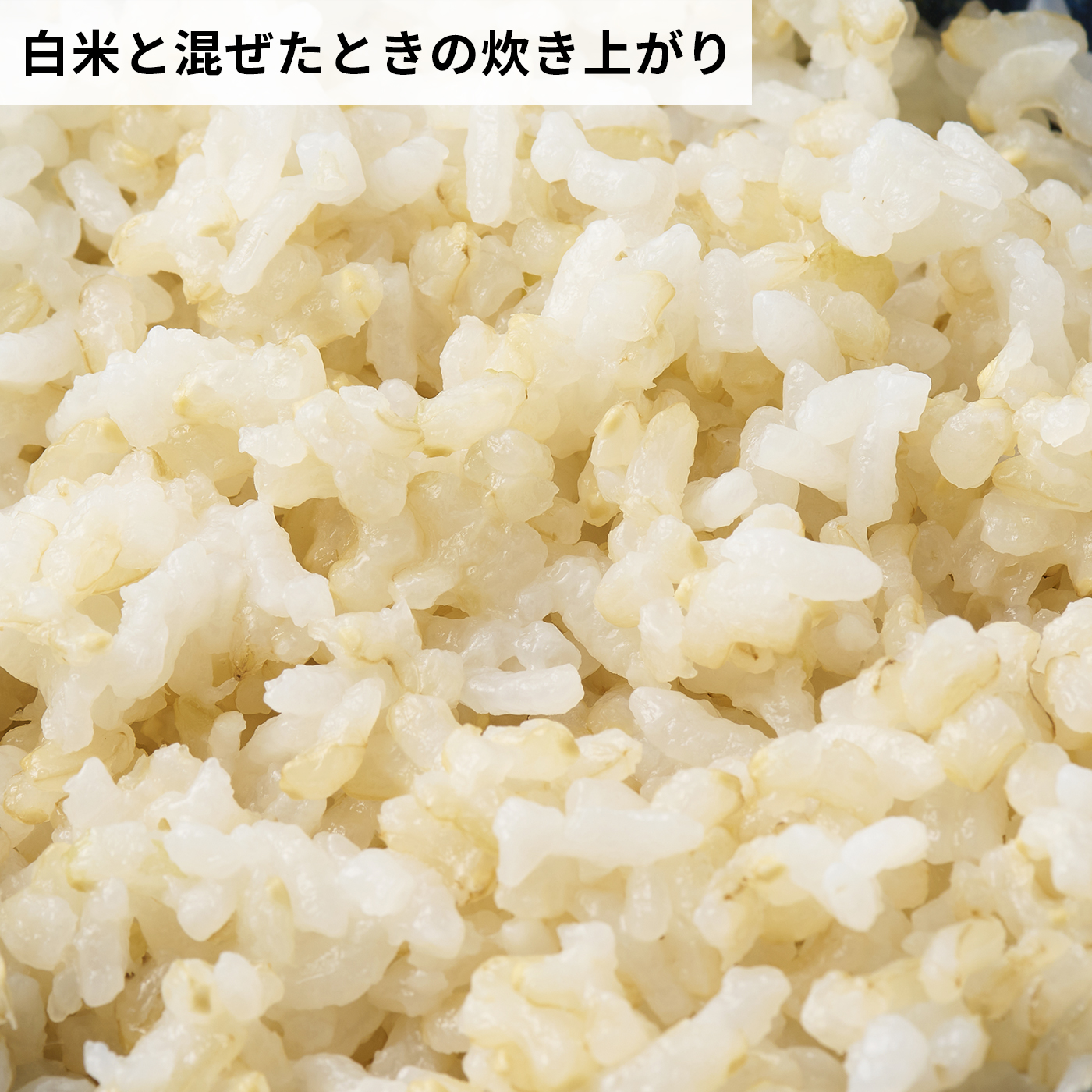 玄氣 7