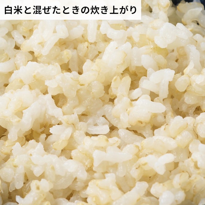 玄氣 7