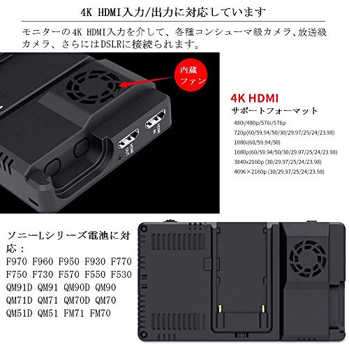 フィールドモニター 5