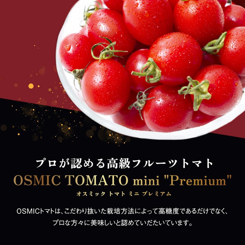 mini premium 2