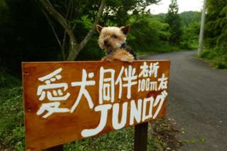 蒜山貸別荘JUNログ 4