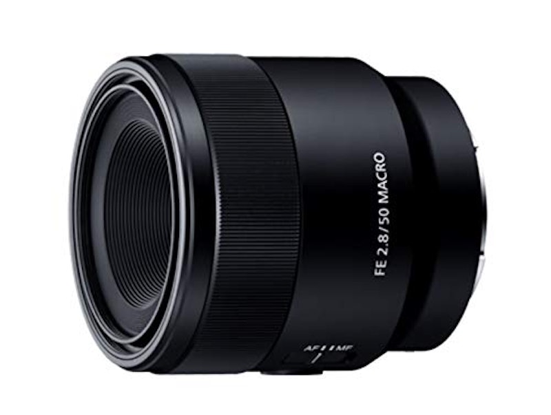 FE 50mm F2.8 Macro 1
