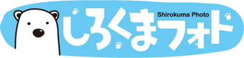 しろくまフォト 1