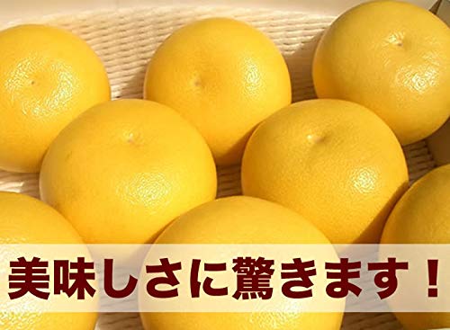 ハウス文旦 高知産 5