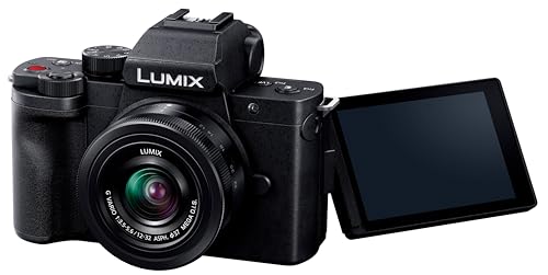 Panasonic LUMIX G デジタル一眼レフカメラ パナソニック LUMIX Gのマイクロフォーサーズ一眼カメラのおすすめ人気