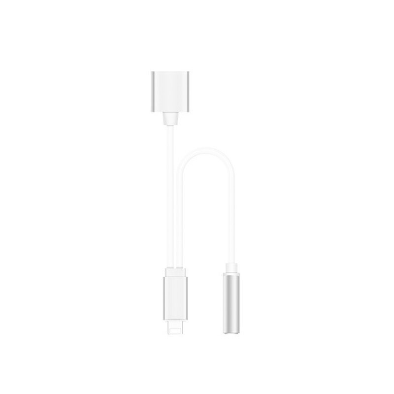 iPhone イヤホン 変換ケーブル 2