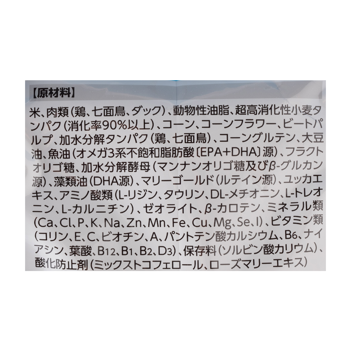 ミニ インドア パピー 4
