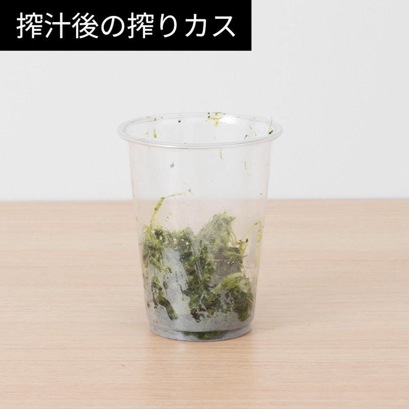 ミニスロージューサー 13