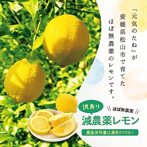 国産レモン 3