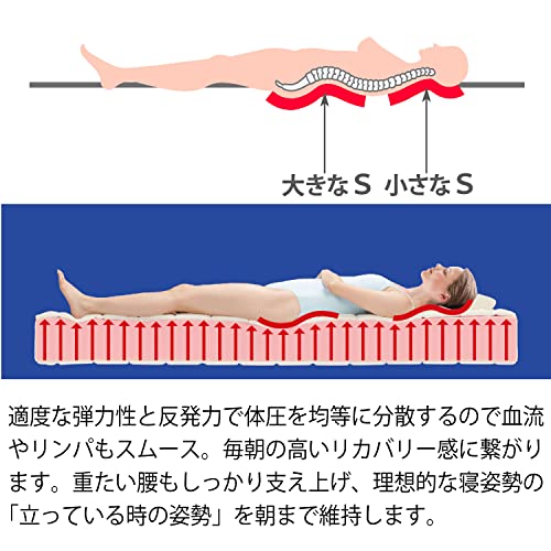 DDウィング 3