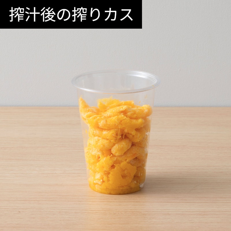 スロージューサー 10