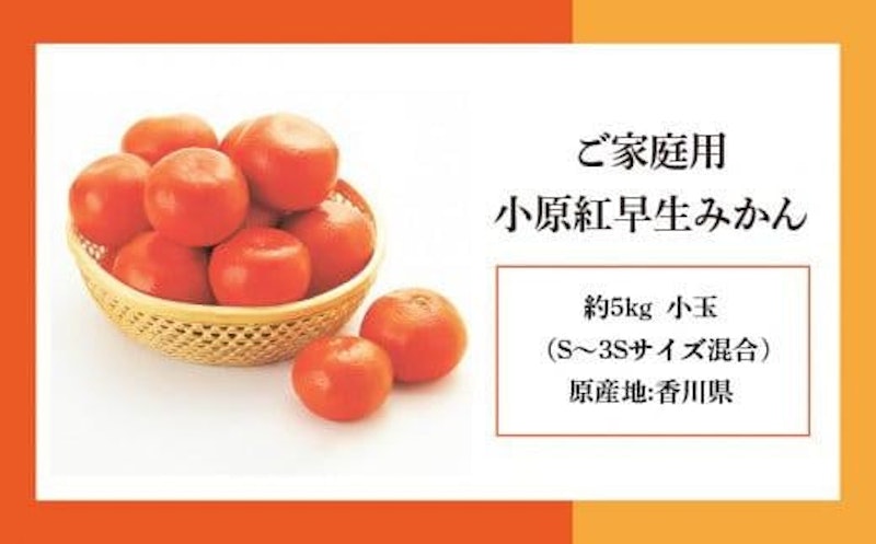 ご家庭用小原紅早生みかん 4