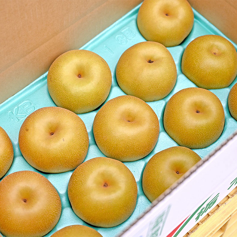 21年 通販で買える梨のおすすめ人気ランキング10選 Mybest