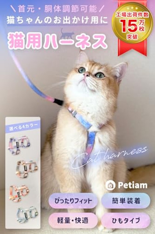ハーネス 2
