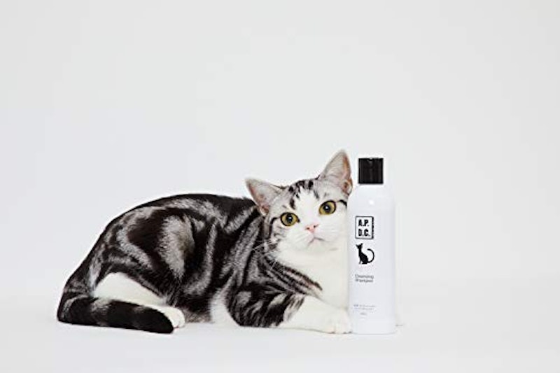 猫用 プロフェッショナル クレンジングシャンプー 2