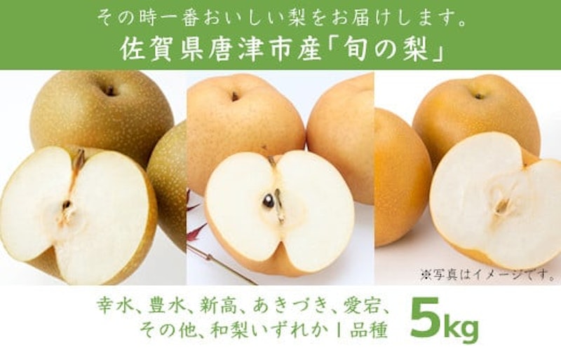 今が食べ頃 特栽 旬の梨 2