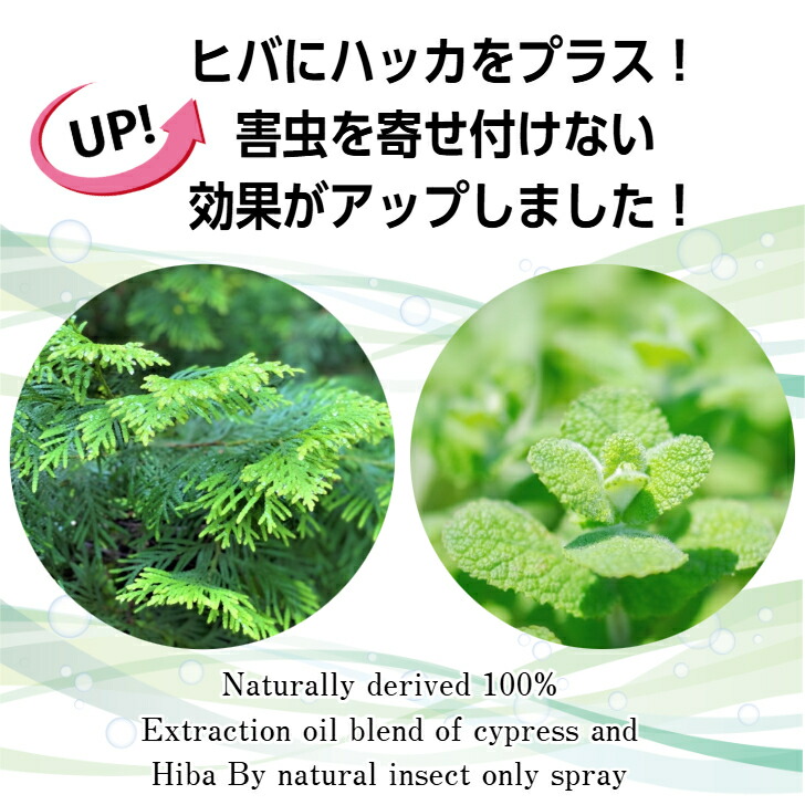 ヒバウッドプラス 4