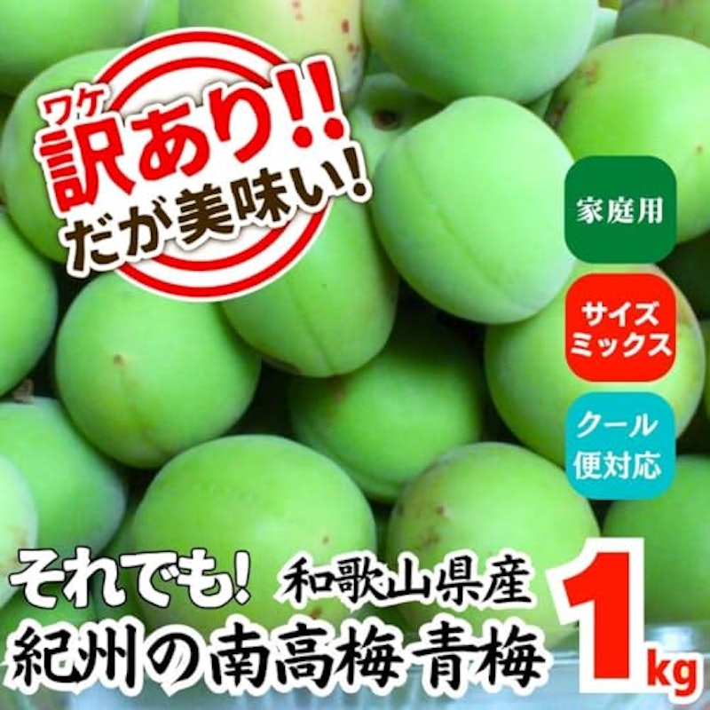 南高梅 3