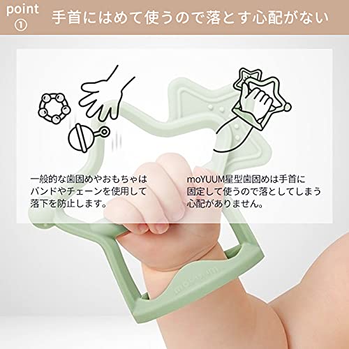星型歯固め 2