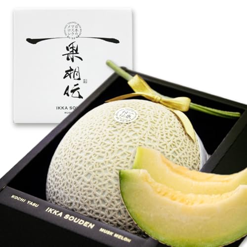 マスクメロン 1