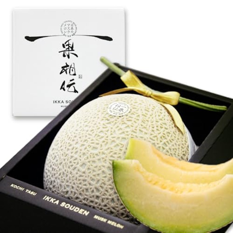 マスクメロン 1