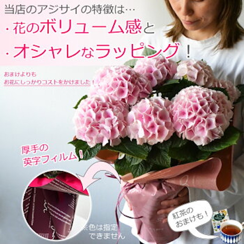 ワンサイズ大きいあじさい フェザーピンク 2