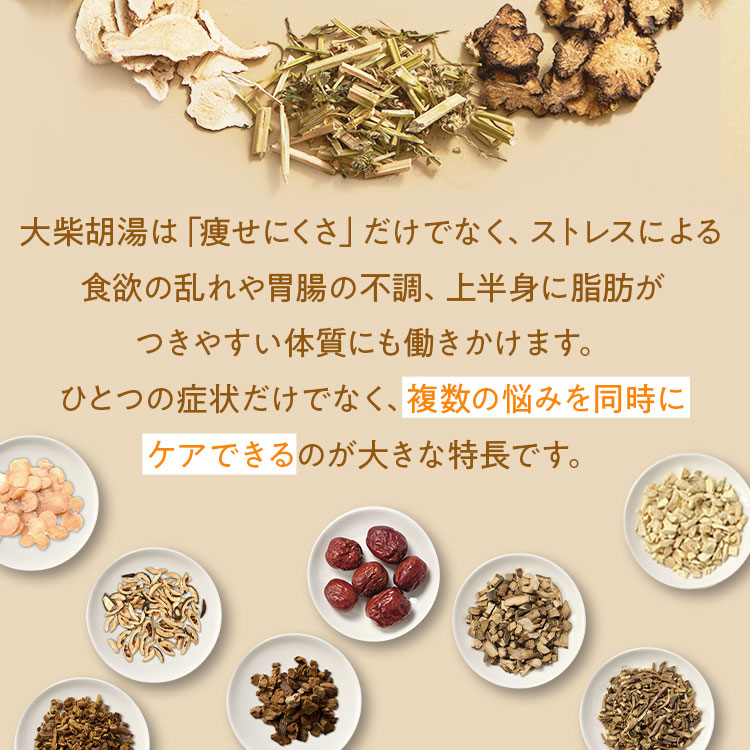 生漢煎 大柴胡湯錠SP 10