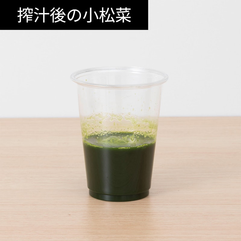 スロージューサー 12