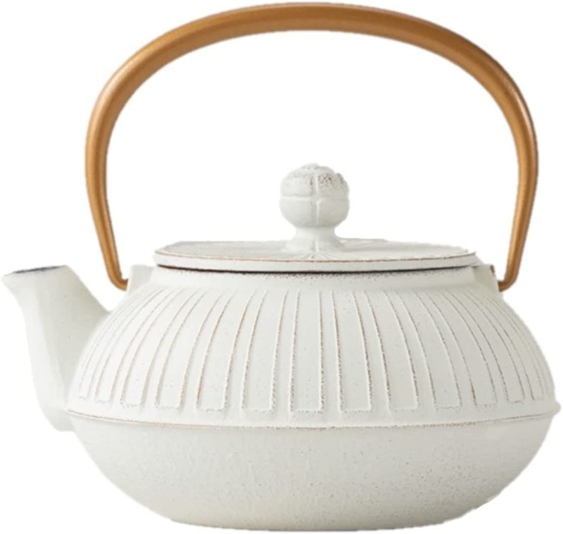急須 南部鉄器 1