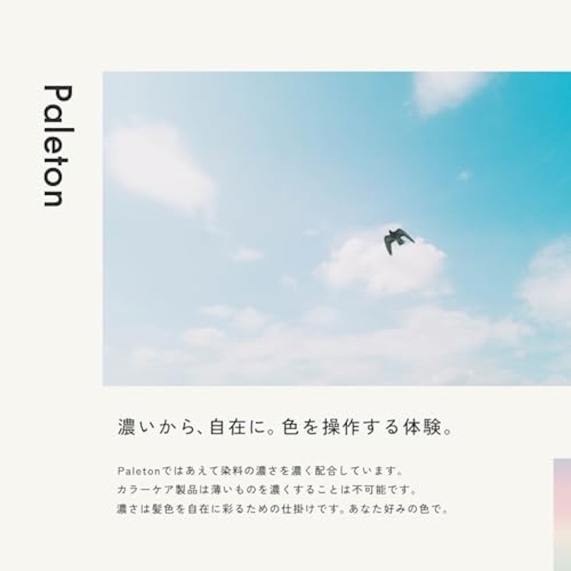 Paleton カラーシャンプー 3