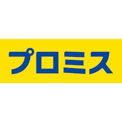 プロミス レディースキャッシング