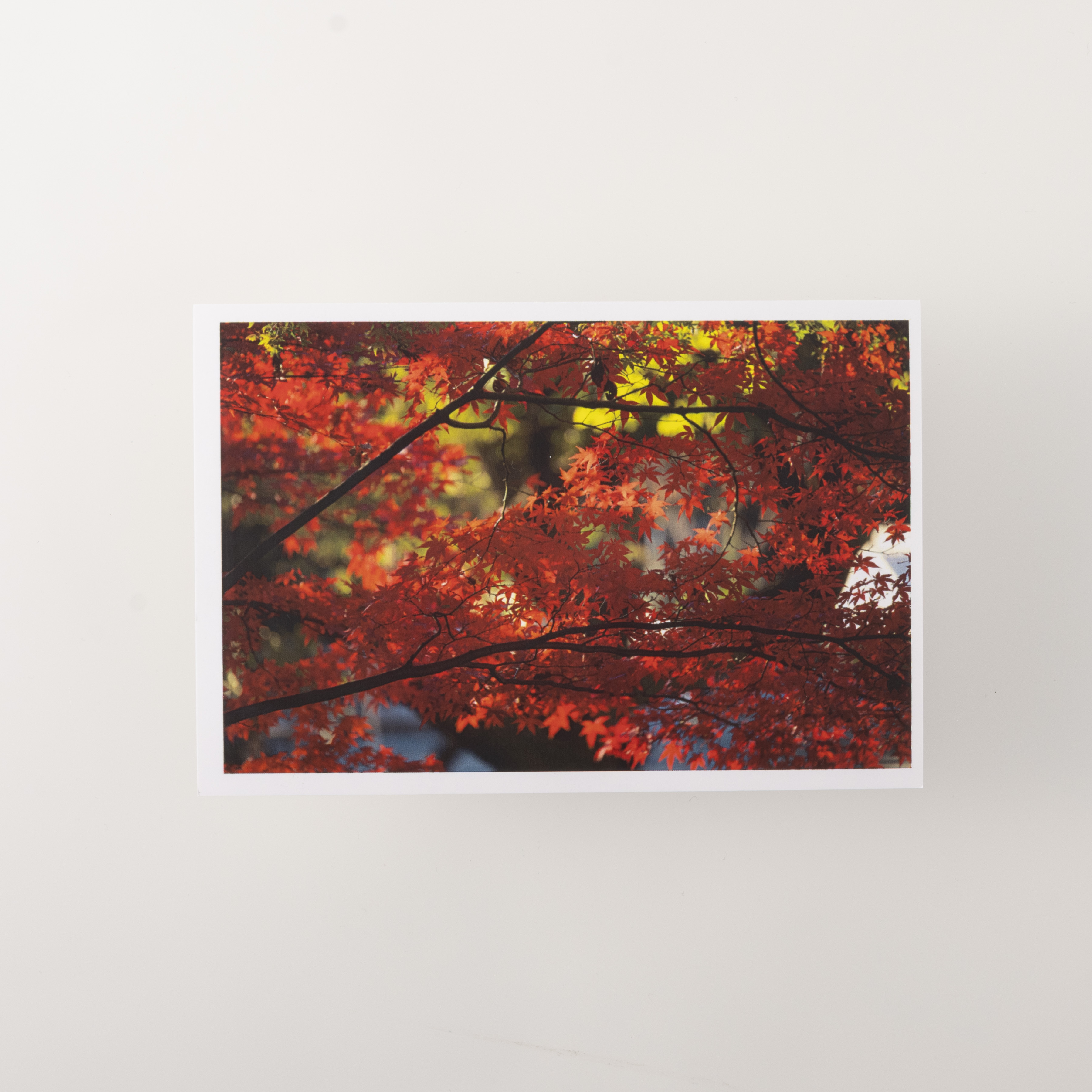 Color MultiWriter 4F150 7