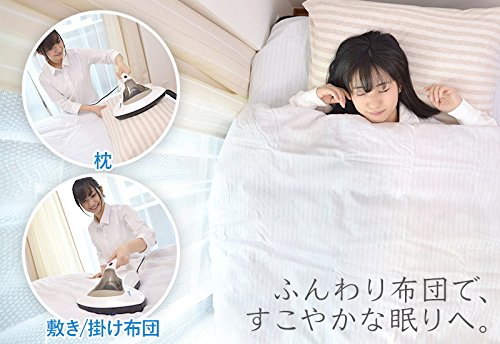 イースマイル ダニ捕りシート アレルギー 害虫 さよならダニー