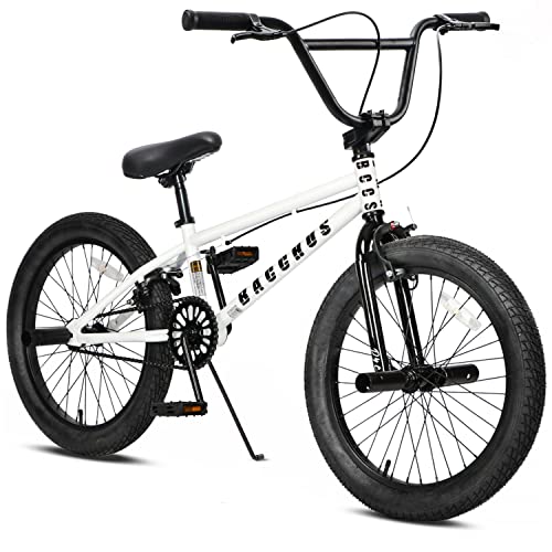 DYC BMX自転車 1