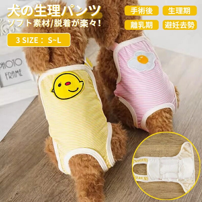マナーパンツ 2