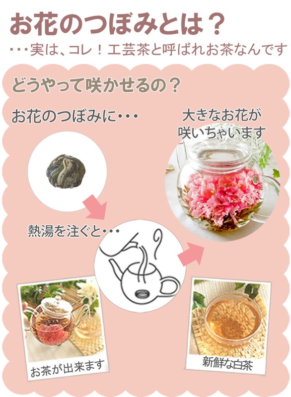 お花のつぼみとティーポット カーネーション茶 2
