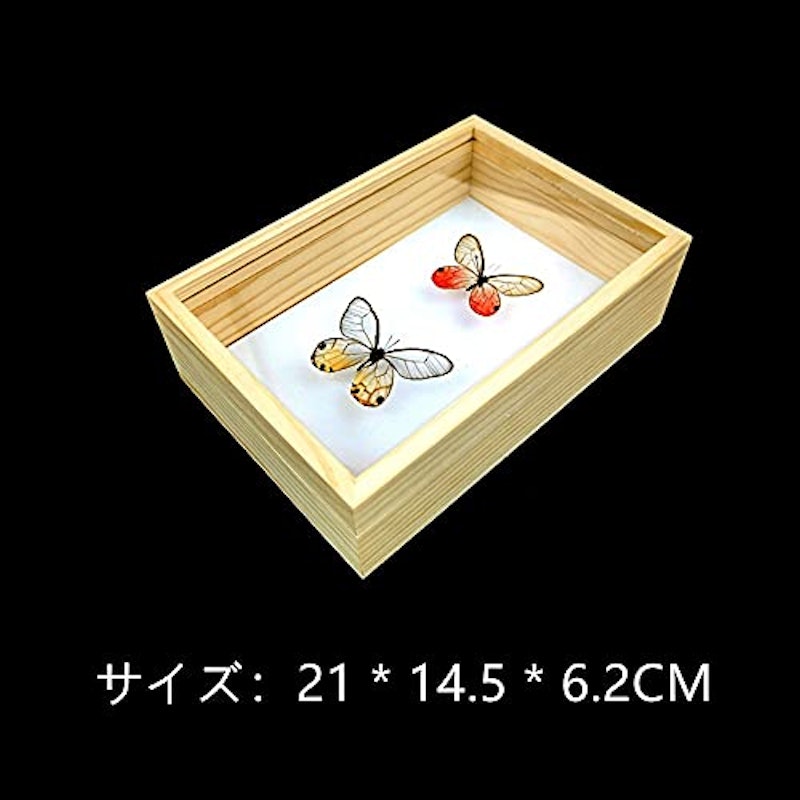 標本箱無垢材昆虫標本箱 2