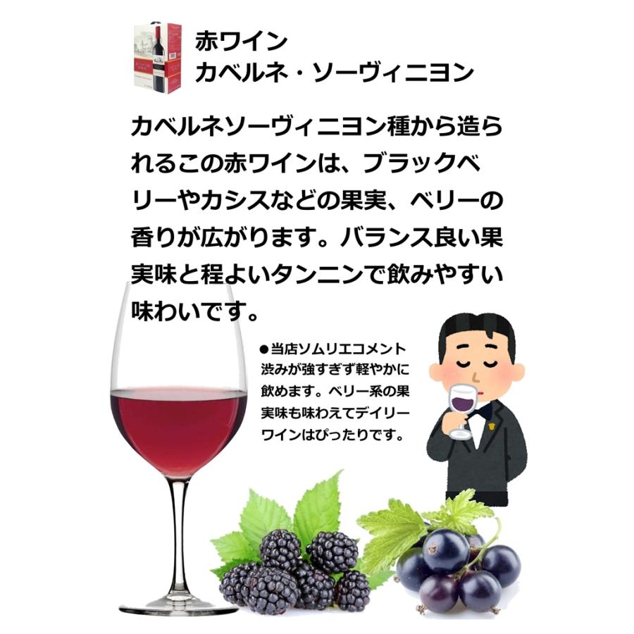 セニョリオ デ マレステ カベルネ ソーヴィニョン  2
