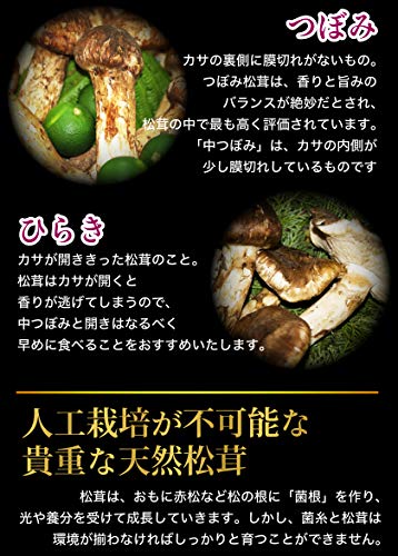 はちまるはち生鮮 松茸 5