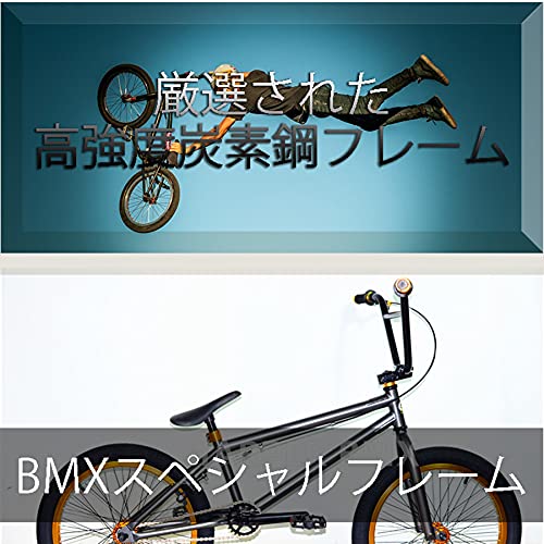 ORDlBMX 3