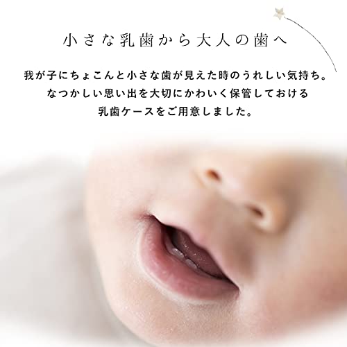 乳歯ケース 国産桐箱使用 3