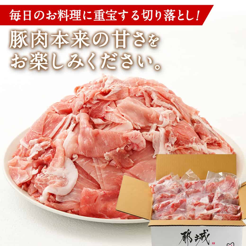 国産豚肉切り落とし 3