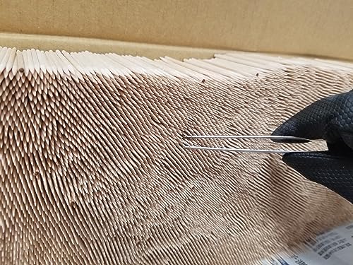 しらかば楊枝 袋入  9