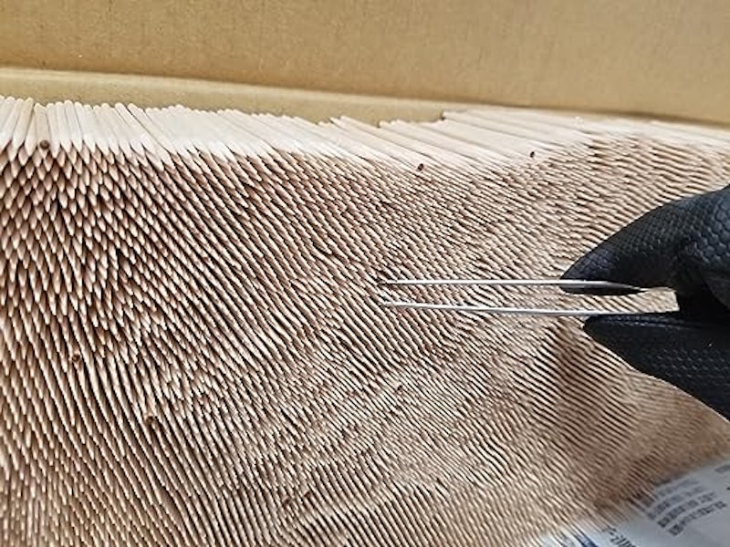 しらかば楊枝 袋入 9