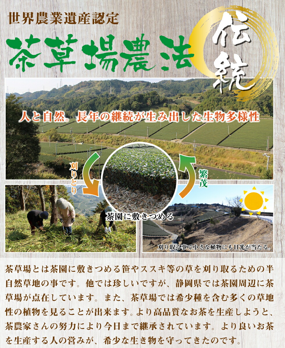 わが家のちゃぶ台 新茶静岡茶2袋セット 6