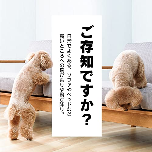 ドッグステップ 2