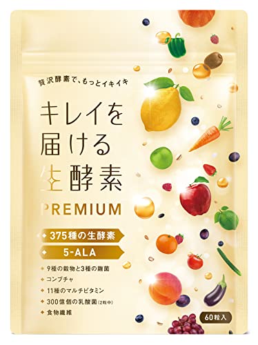 キレイを届ける生酵素 生酵素PREMIUM 1
